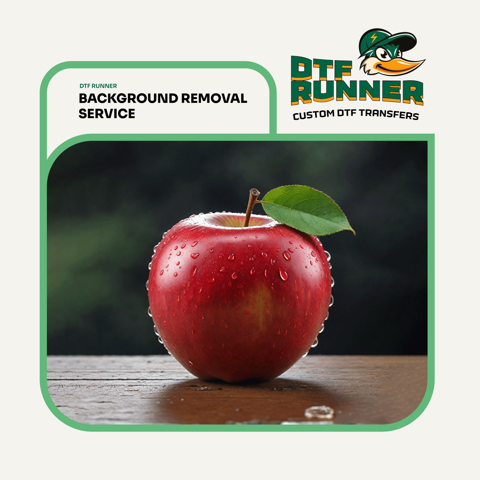 Professional Background Removal Service