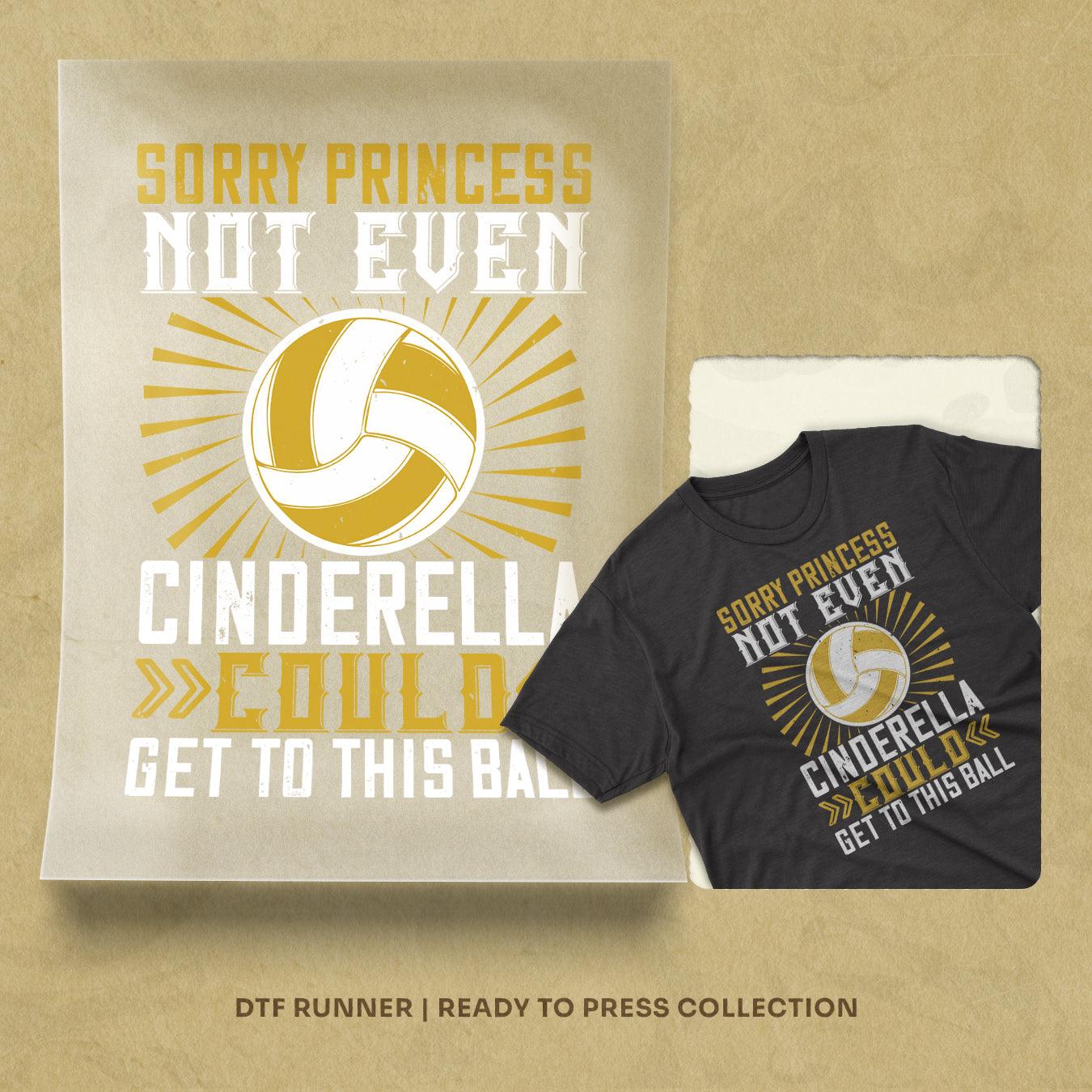 Sorry Princess, Not Even Cinderella Could Get To This Ball Dtf Transfers